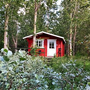 Bakkakot 3 Cozy Cabin In The Woods Daire Akureyri Exterior photo