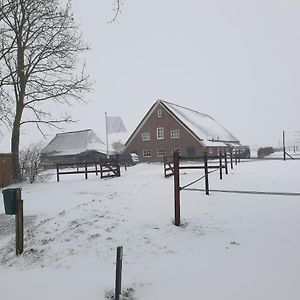 Landelijk Gelegen Boerderij Aan De Pothofweg Daire Anevelde Exterior photo