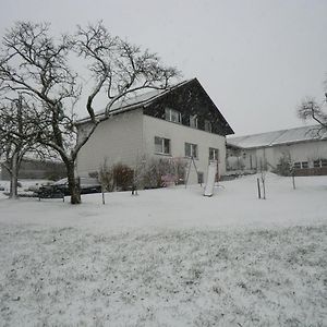Mirscheiderhof Daire Weidenbach  Exterior photo