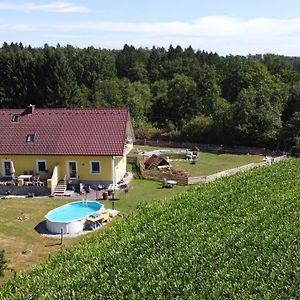 Haus Sonberg Mit Garten, Pool, Fasssauna, Semi Detached House With Garden Daire Deutschlandsberg Exterior photo