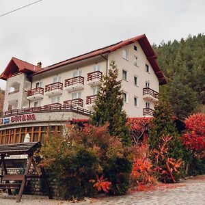 Vila Briana Otel Păltiniş Exterior photo