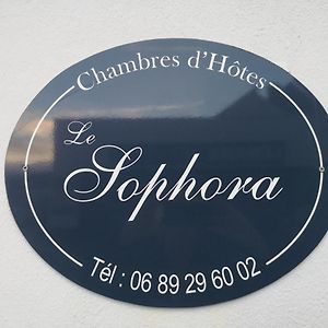 Le Sophora Otel Guînes Exterior photo