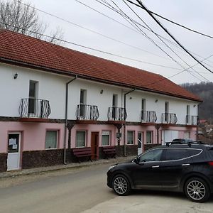 Pensiunea Lucica Otel Sacelu Exterior photo