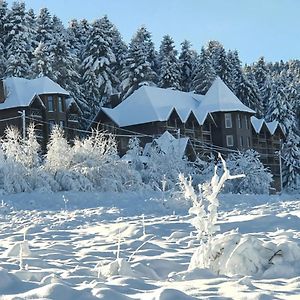 Pid Lisom Otel Skhidnytsia Exterior photo