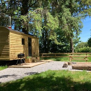 Swaledale Shepherd'S Hut Otel Newton Abbot Exterior photo