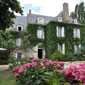 La Marronniere Otel Cheffes-sur-Sarthe Exterior photo