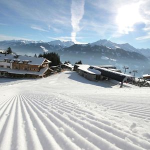 Elegant Chalet With Sauna In Mittersill Salzburg Daire Hollersbach im Pinzgau Exterior photo