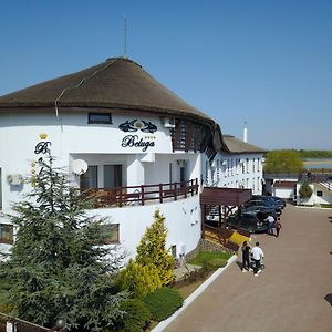 Pensiunea Beluga Otel Murighiol Exterior photo