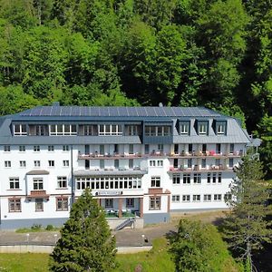 Gaeste- Und Tagungshaus Maria Trost Otel Beuron Exterior photo