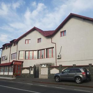 La Zinculescu Otel Albestii Paminteni Exterior photo