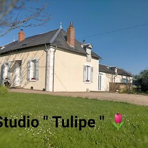 Studio "Tulipe" Dans Le Berry Daire Les Bordes Exterior photo