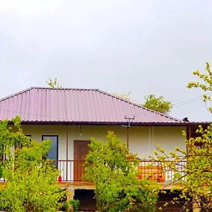 Green Agarak Guest House Near Dendropark, Stepanavan Gyulagarak Exterior photo