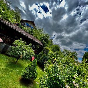 Cabana Vanatorilor Villa Poiana Mărului Exterior photo