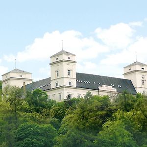 Zamek Racice Otel Exterior photo