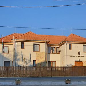 Bacchus Vendeghaz Otel Erdőbénye Exterior photo