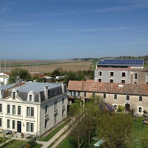 Le Domaine Du Meunier Otel Mortagne-sur-Gironde Exterior photo
