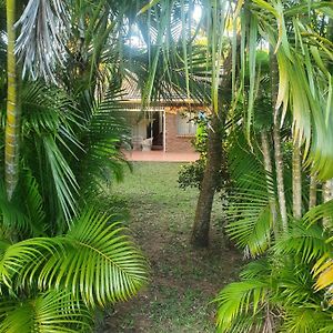 Whispering Palms St Lucia Daire Exterior photo