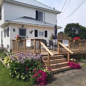 The Coastal Country House In New Brunswick Konuk evi Cape Tormentine Exterior photo