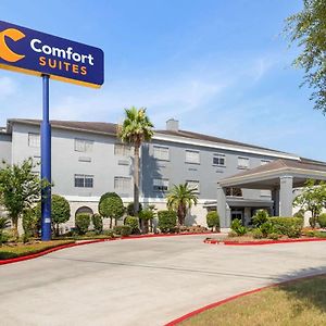 Comfort Suites Kingwood Houston North Humble Exterior photo