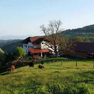 Turizem Grasic~Gradisnik Villa Zgornje Hoce Exterior photo