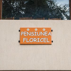 Pensiunea Floricel Otel Stoeneşti Exterior photo