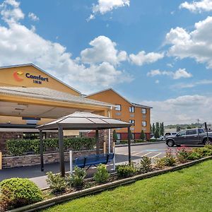 Comfort Inn Nashville West Exterior photo