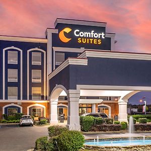 Comfort Suites Olive Branch - Memphis South Exterior photo