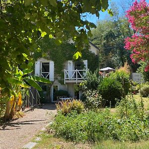 Chambre Bananier: Maison Arboree Face A La Riviere Daire Saint-Fiacre-sur-Maine Exterior photo