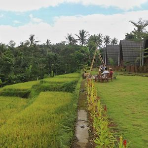 Omah Bapak Ijen Eco House Otel Licin Exterior photo