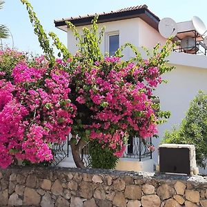 Villa Bougainvillea With Privite Pool Karşıyaka  Exterior photo