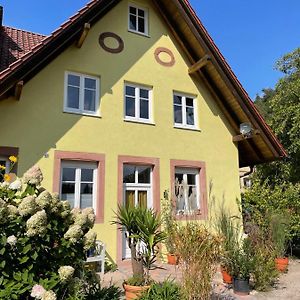 Appartement Auf Dem Gutshof Klingenmünster Exterior photo