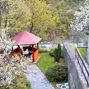 Forest Spring Otel Narechenski Bani Exterior photo