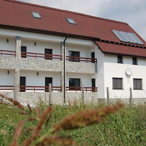 Pensiunea Bogdan Otel Novaci-Străini Exterior photo