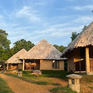 Saffron Lake Yala Otel Tissamaharama Exterior photo