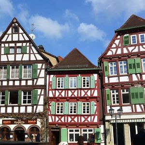 Gaestehaus Am Marktbrunnen Apart otel Bretten Exterior photo