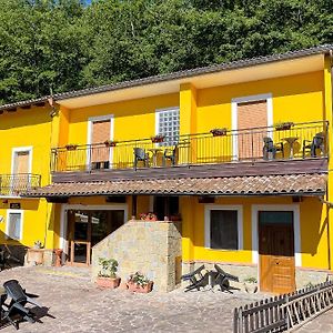 Casa Elisabetta Bosco Magnano Otel San Severino Lucano Exterior photo