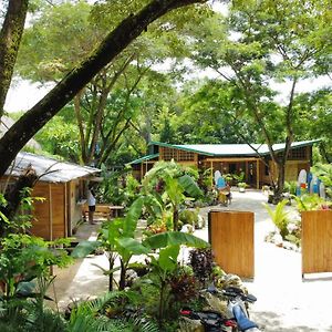 Bamboo Surf House - Walk To The Beach Otel Playa Santa Teresa  Exterior photo