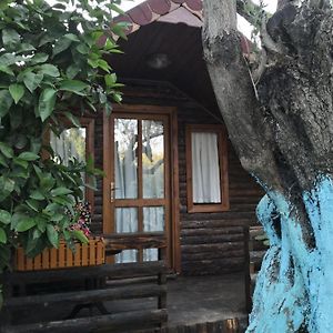 Zeytindağı bungalow Otel Mehmetalani Exterior photo