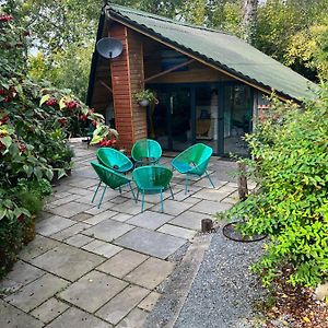 The Shed . A Cosy, Peaceful, 96% Recycled, Chalet. Daire Swansea Exterior photo