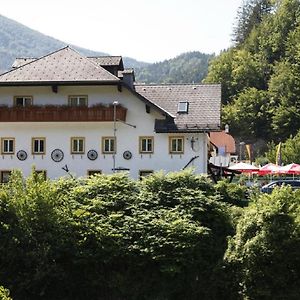 Ferienhaus An Der Ybbs Otel Opponitz Exterior photo