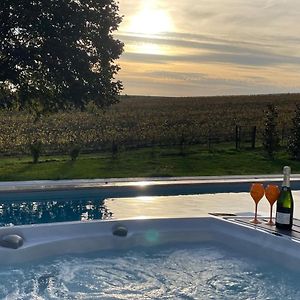 Best View, Pool And Spa On The Champagne Vineyard Daire Saint-Thierry Exterior photo