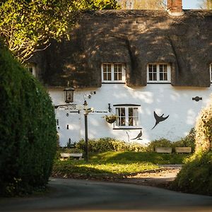 Brace Of Pheasants Otel Alton Pancras Exterior photo