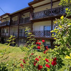 Ξενοδοχειο Παπαναγιωτου Otel Neraïdochóri Exterior photo