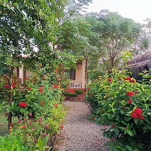 Crocodile Safari Camp Otel Chitwan Exterior photo