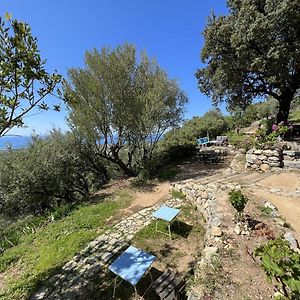 Casa Musicale Otel Pigna Exterior photo