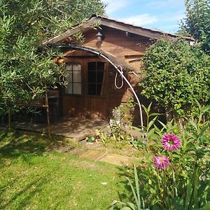 Le Chalet Du Jardin Cache Otel Marmande Exterior photo