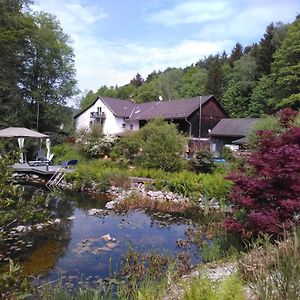 Urlaubspension Die Muehle Otel Schöllnach Exterior photo