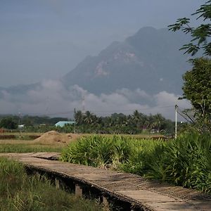 Art House At Chiangdao - Starhouse Otel Chiang Dao Exterior photo