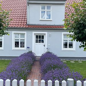 Haus Vicus Daire Greifswald Exterior photo