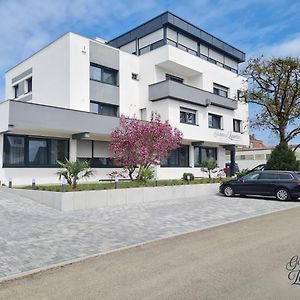 Gaestehaus Zeppelin Otel Uhingen Exterior photo